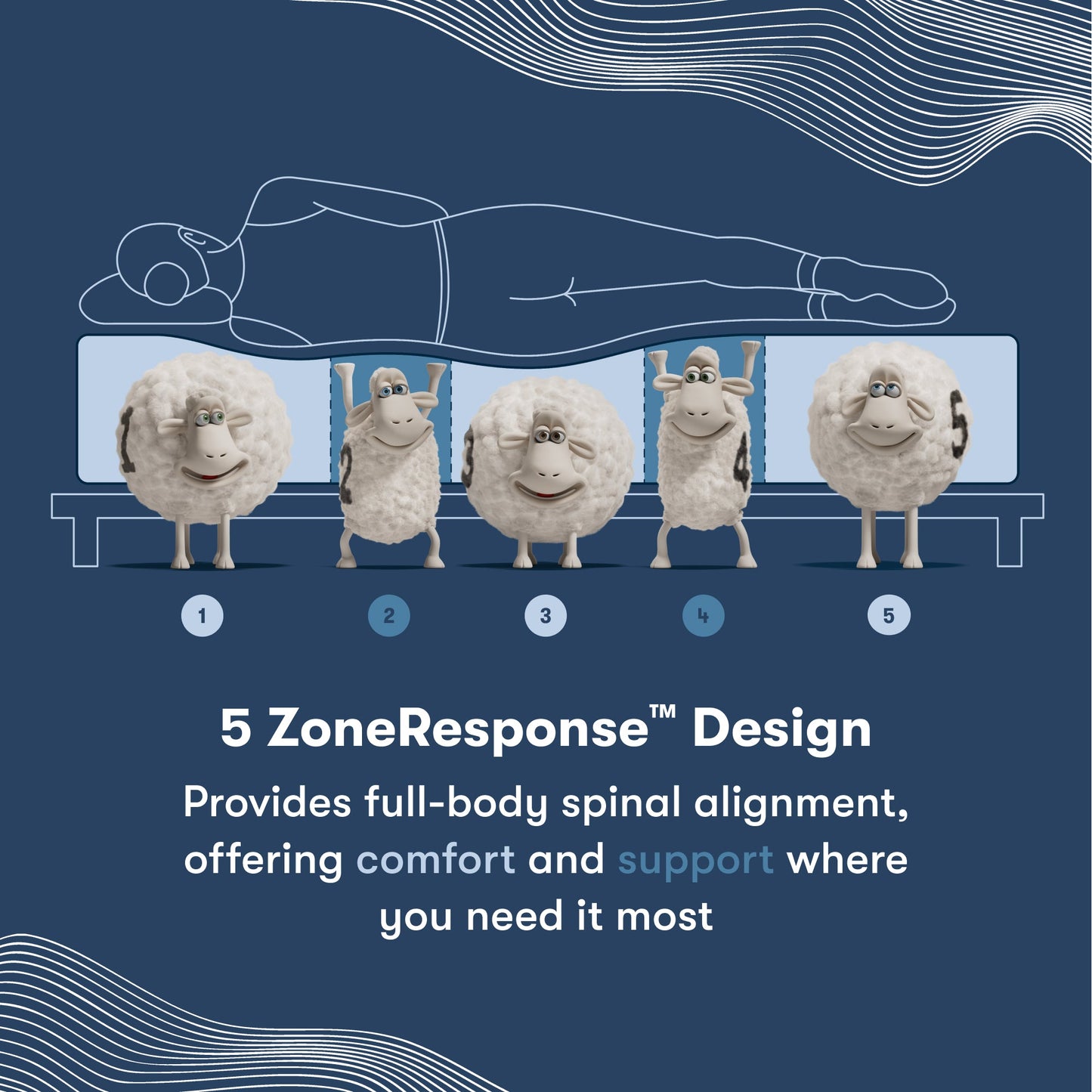 5 Zone Response Design image of sheep numbered 1-5 representing a section of each mattress that is holding up a silhouette of a woman laying on her left side.