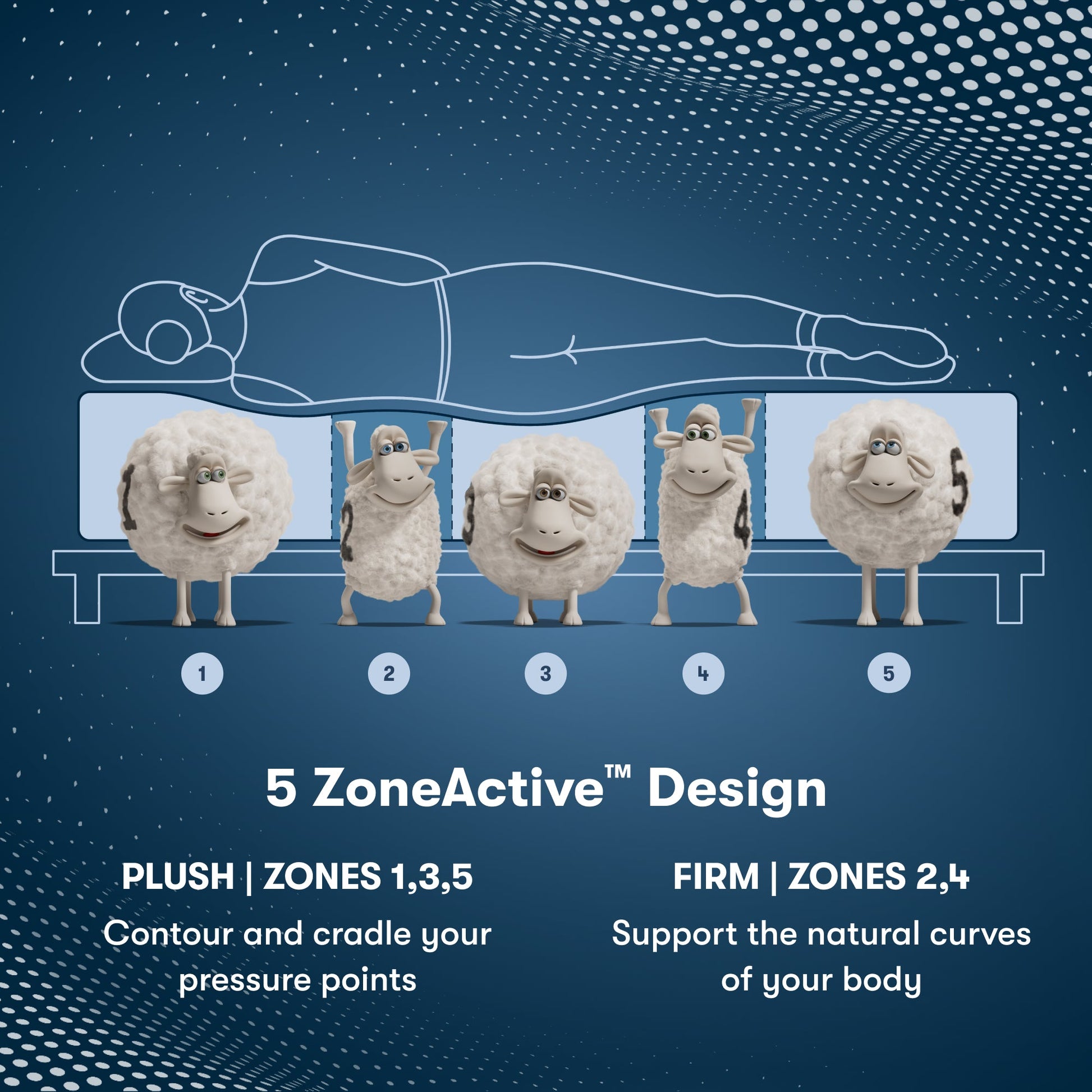 Perfect Sleeper Pro Kensington Medium Mattress Component 5 Zone chart || Level: Level 1 || Feel: Medium
