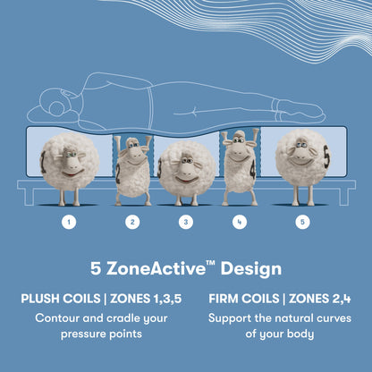 Perfect Sleeper X Hybrid Prescot Plush 5 Zone chart || feel: Plush || level: Level 2