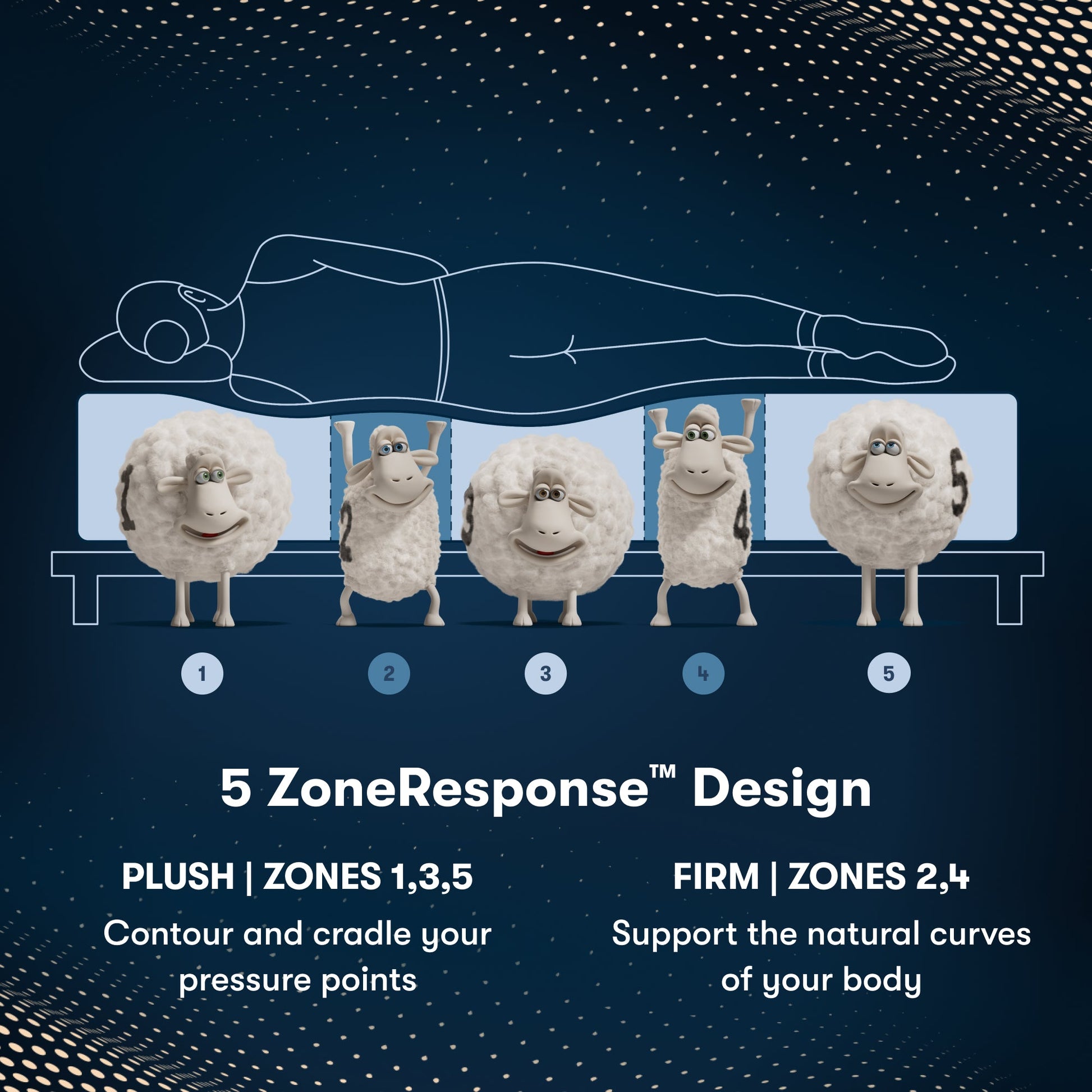 iComfortPro Chelsea Extra Firm Mattress Component 5 Zone chart || feel: extra firm || level: Level 1